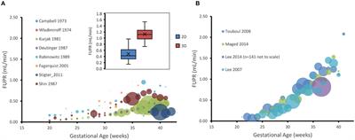 Quantification of Fetal Renal Function Using Fetal Urine Production Rate and Its Reflection on the Amniotic and Fetal Creatinine Levels During Pregnancy